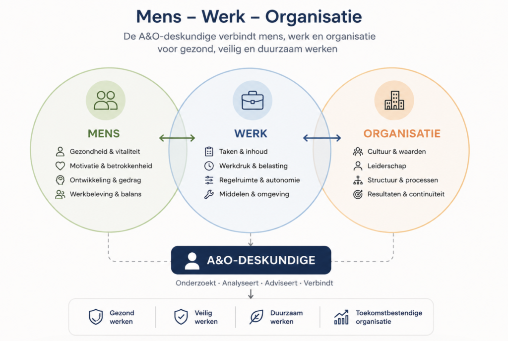 mens - werk - organisatie